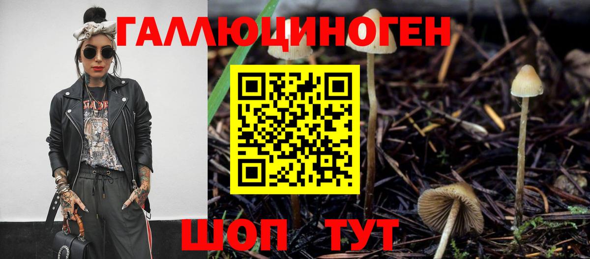 Галлюциногенные грибы мухоморы Воркута